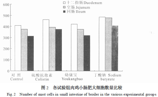 三種飼料添加劑對(duì)肉雞小腸肥大細(xì)胞數(shù)量分布的影響