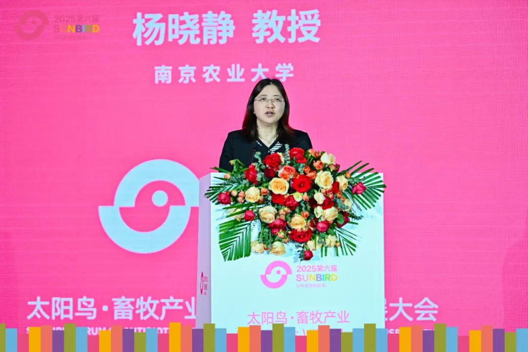 新奧公司閃耀第六屆太陽鳥·畜牧產(chǎn)業(yè)無抗（減抗）發(fā)展大會